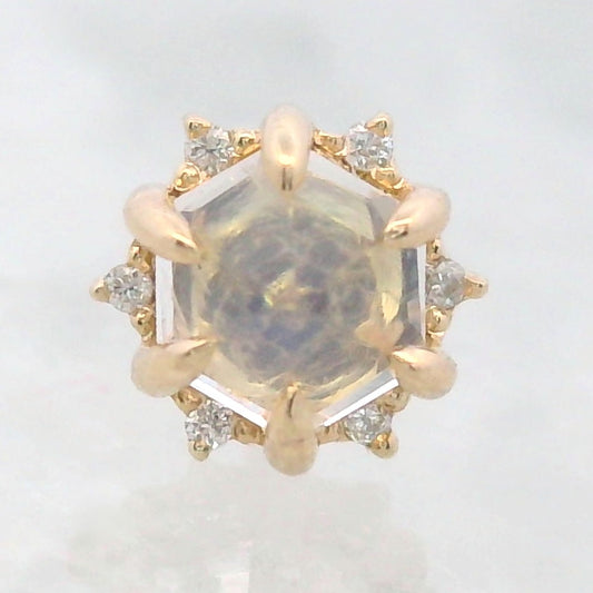 Hexagon Claw Prong