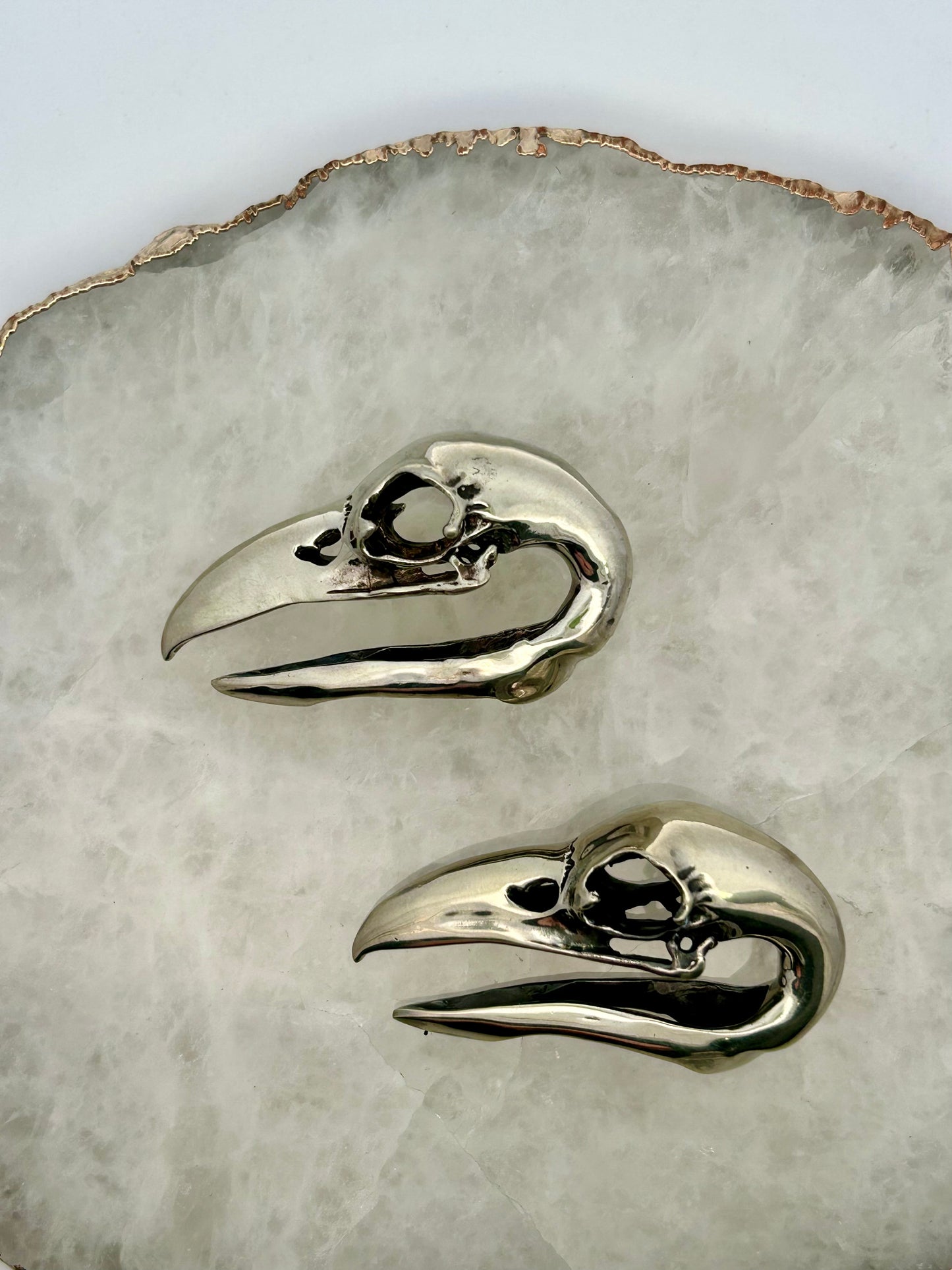 High Polish Bird Skull