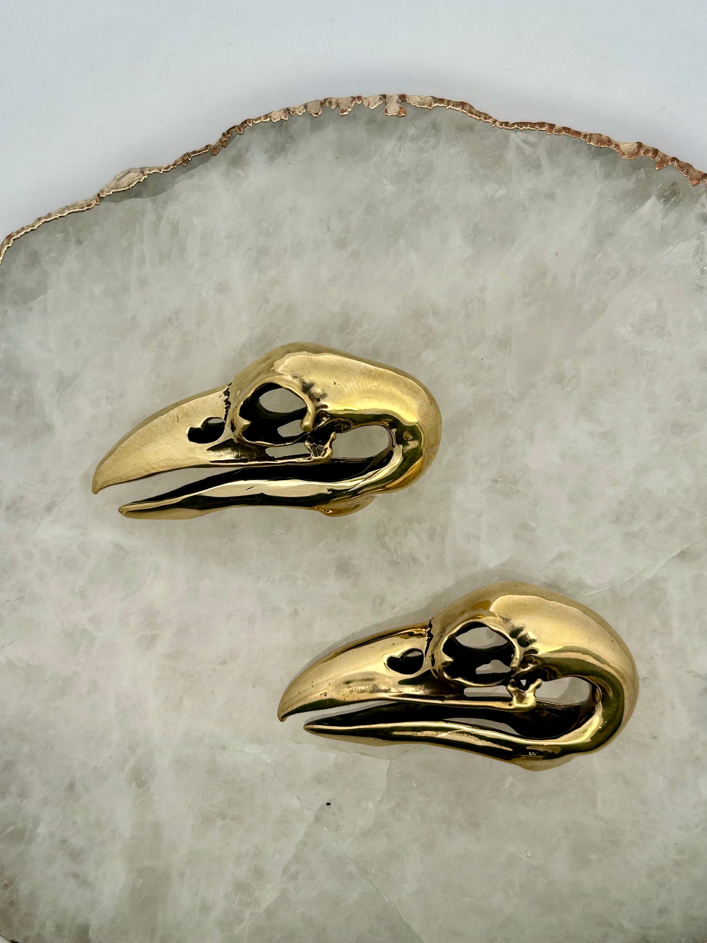 High Polish Bird Skull