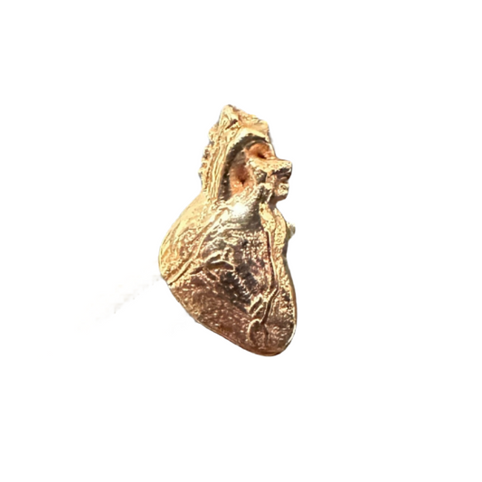 Anatomical Heart - Gold - Threaded
