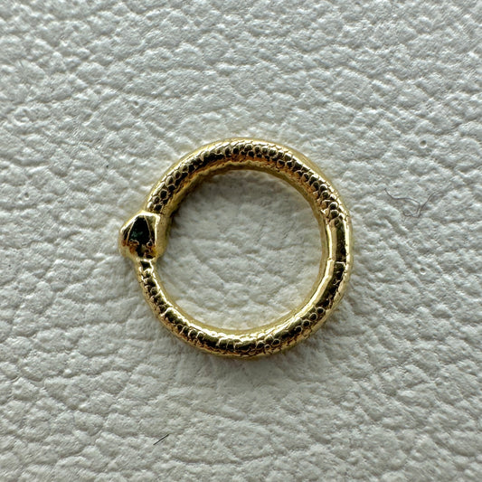 Ouroboros Snake