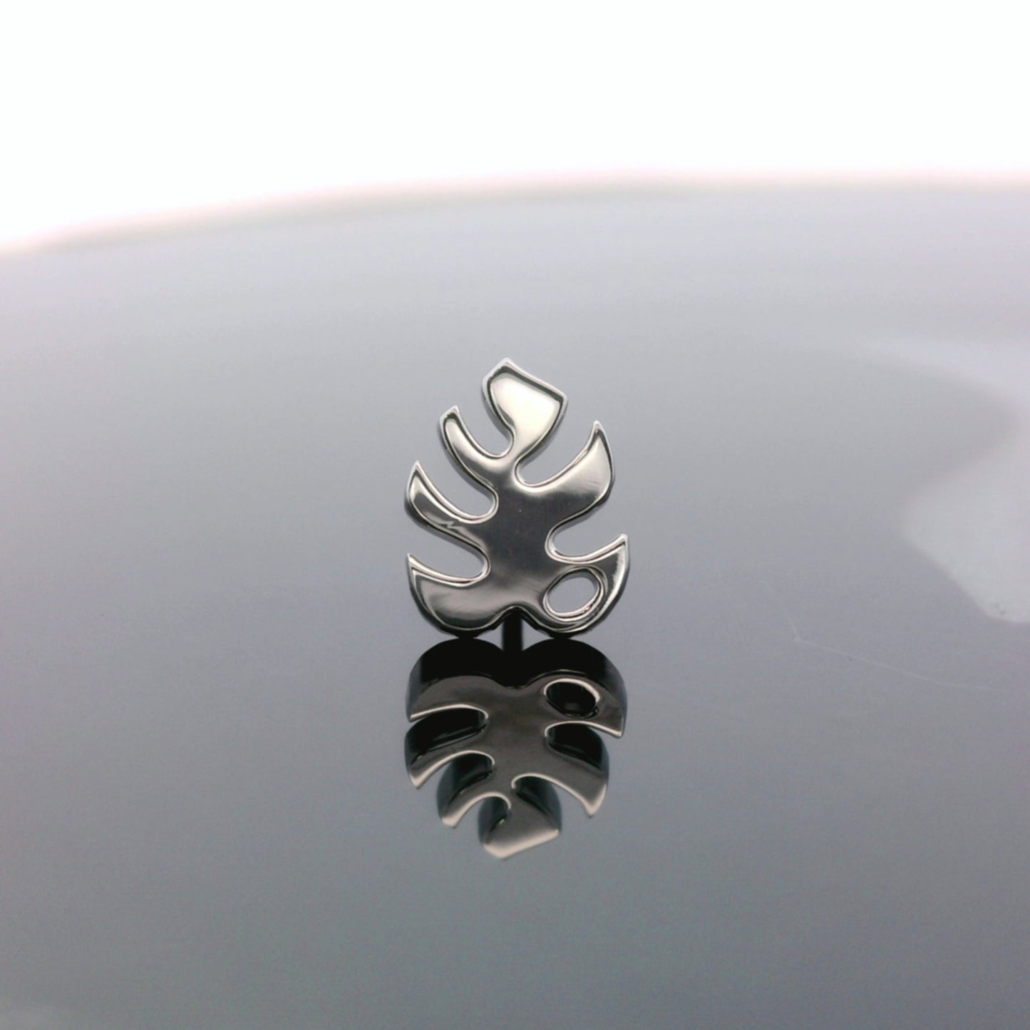 Monstera Leaf  - Titanium