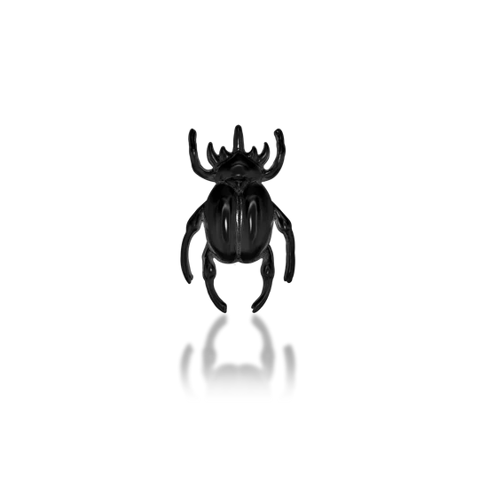 Rhinoceros Beetle
