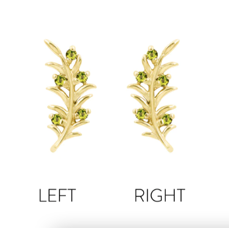 Olive Branch