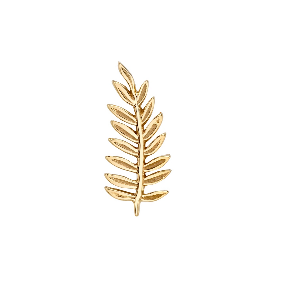Fern
