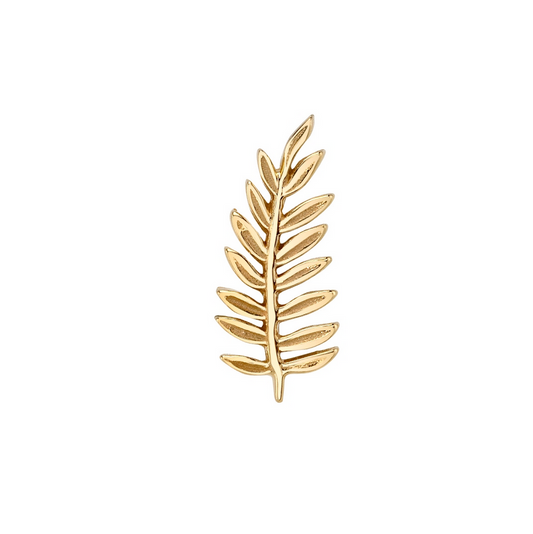 Fern