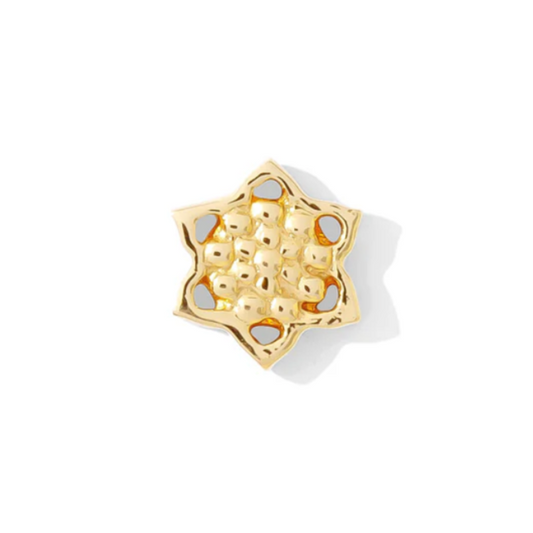 Tiny Micro Lotus