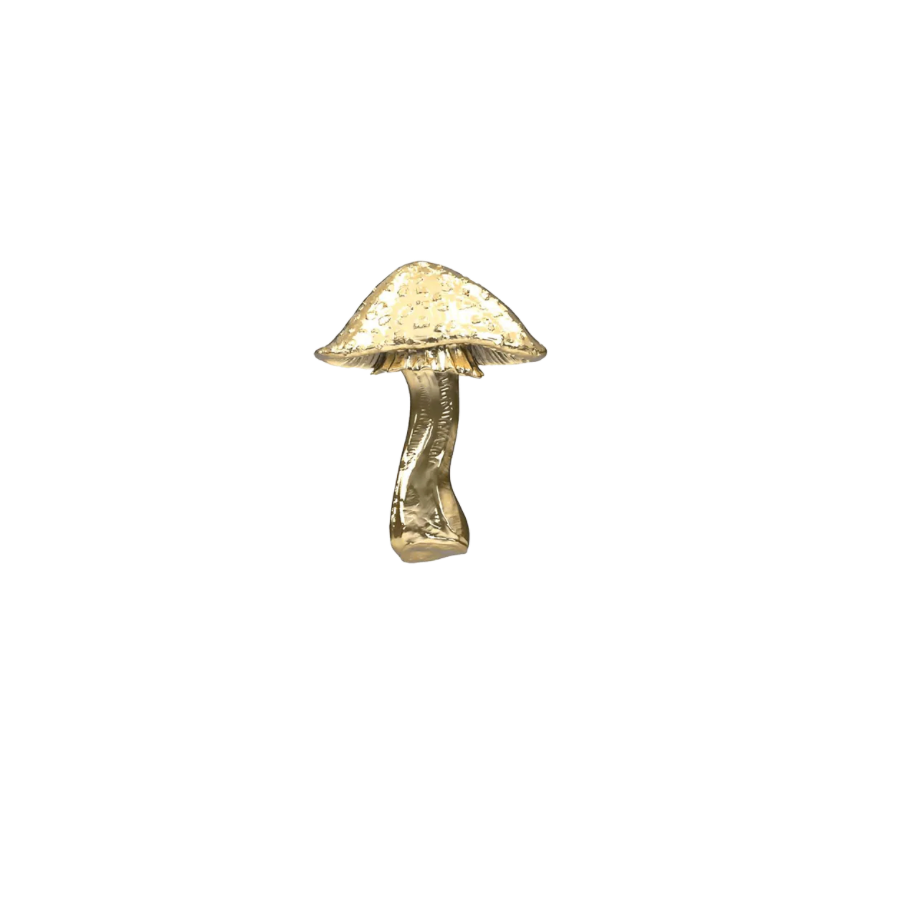 Mushroom 4