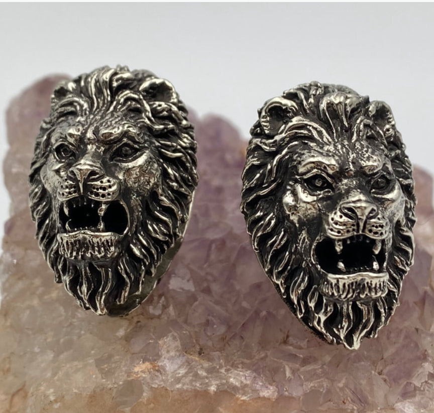 Lion's Head