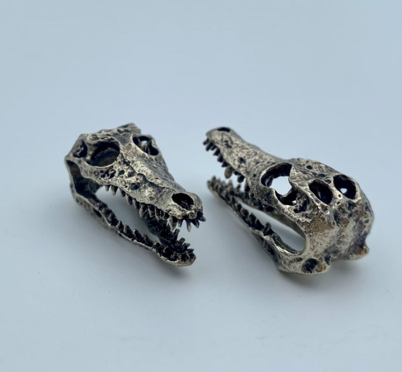 Crocodile