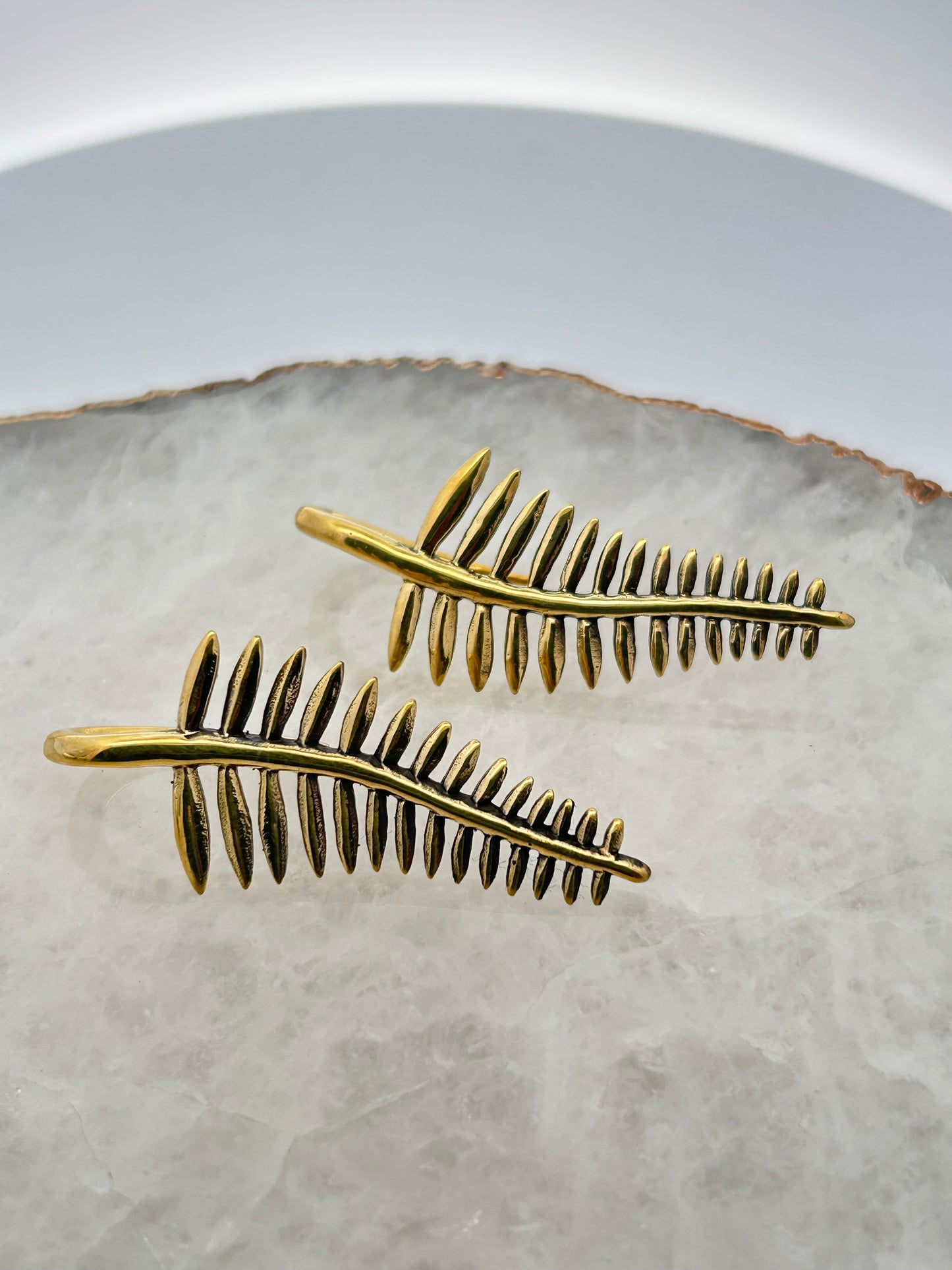 Fern Weight