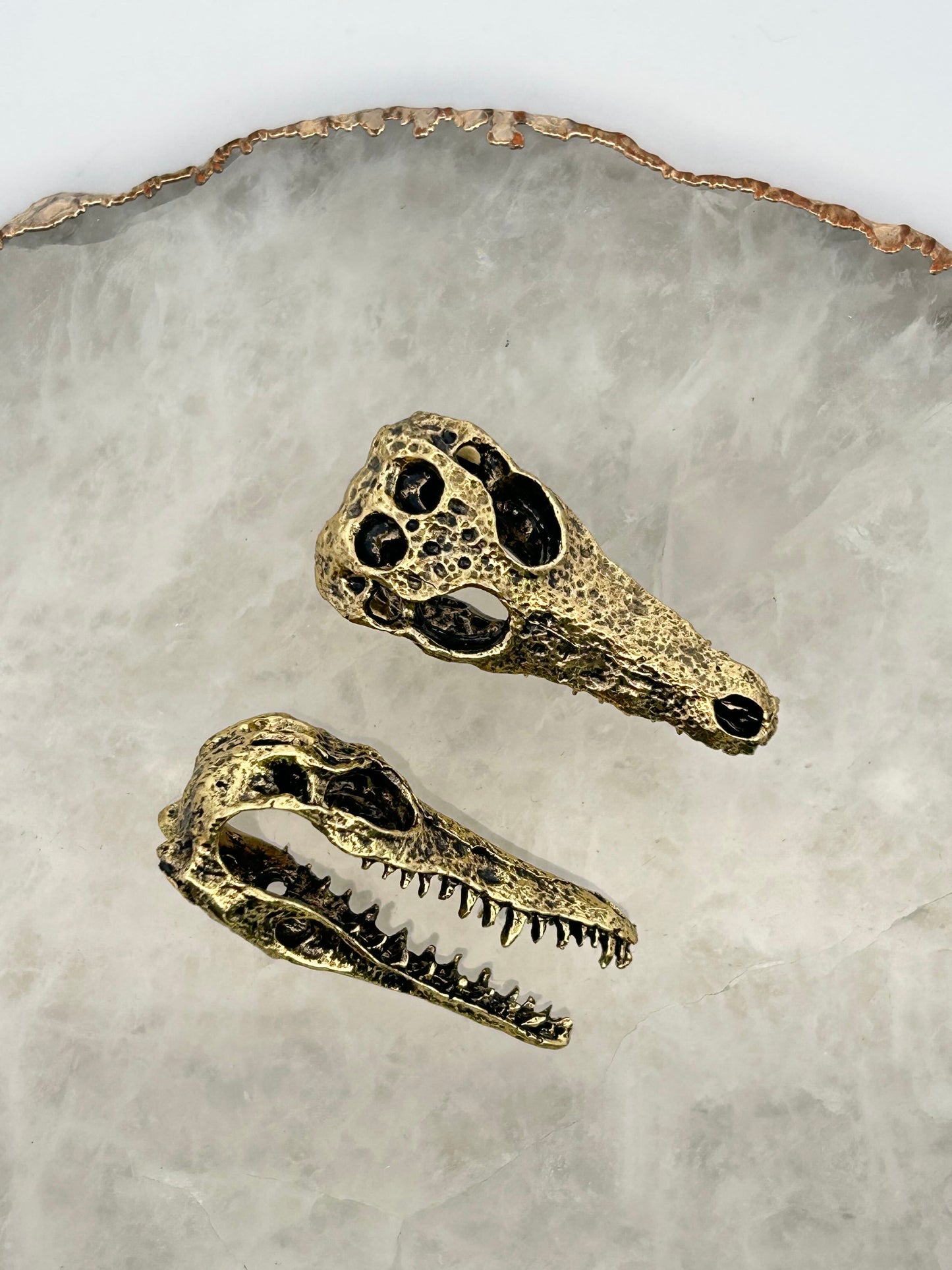 Crocodile Weight
