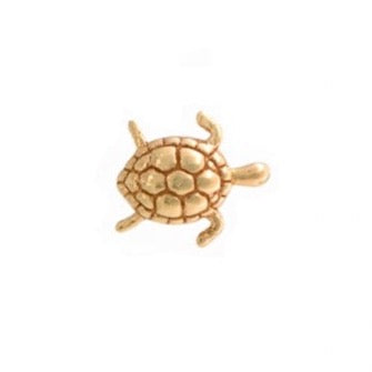Swimming Turtle