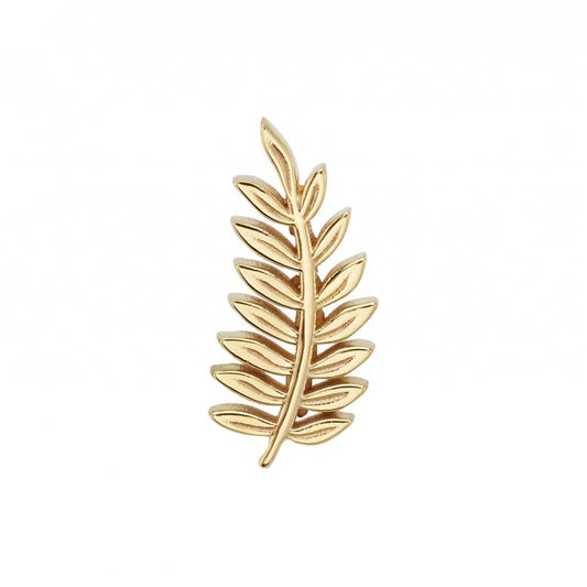 Fern