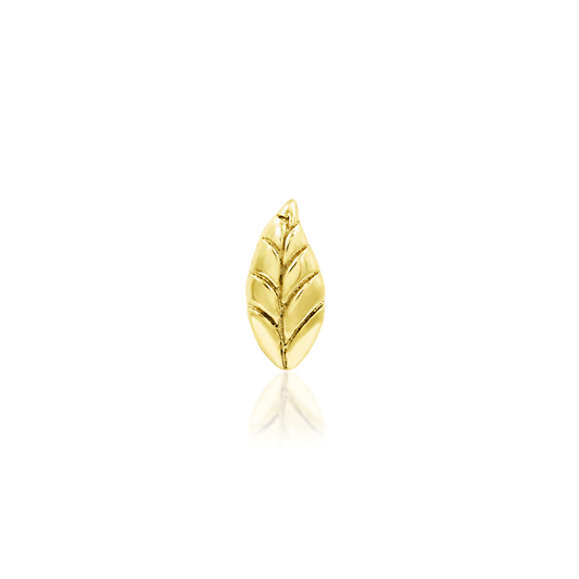 Bay Leaf