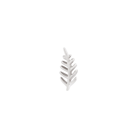 Wee Fronds