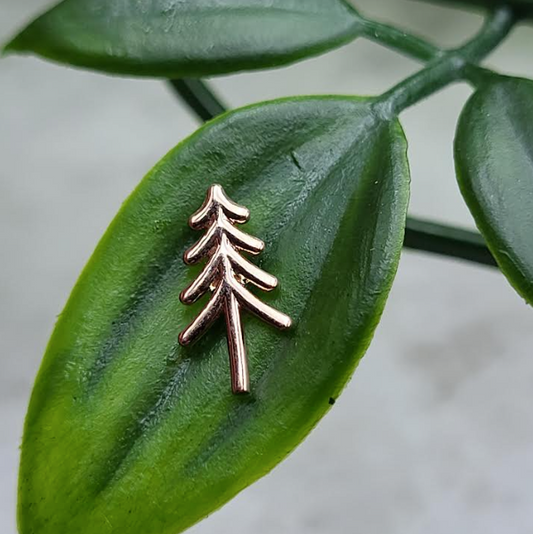 Evergreen Tree