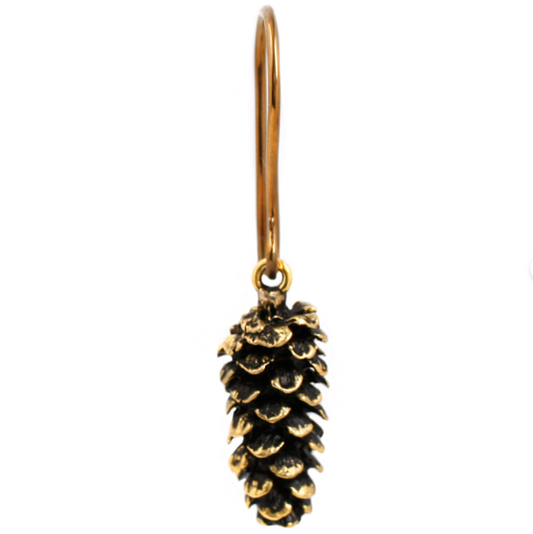 For the Love of Pinecones