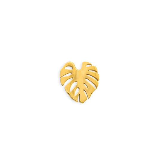 Monstera Leaf